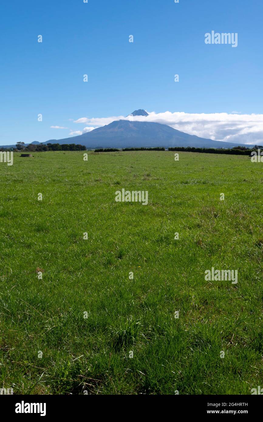 Mount Taranaki (Egmont) and farmland near Eltham, Taranaki, North