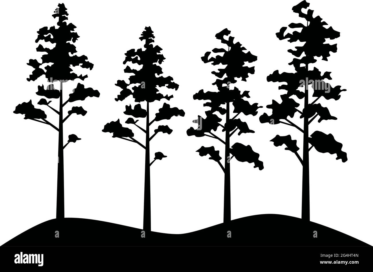 pines forest scene Stock Vector Image & Art - Alamy