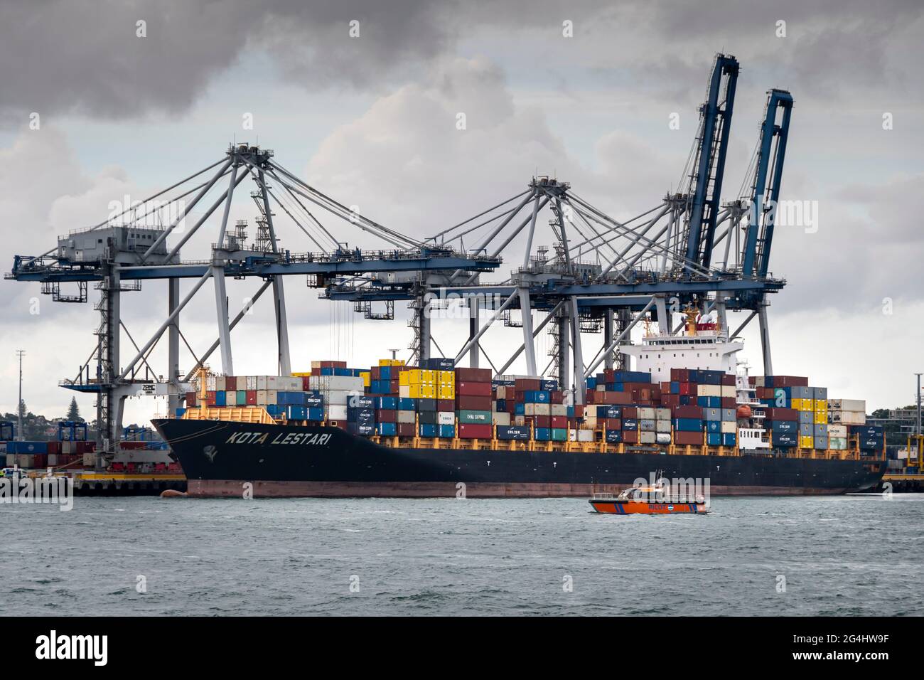 Container ship, Pilot boat and cranes in port at Auckland, North Island, New Zealand Stock Photo