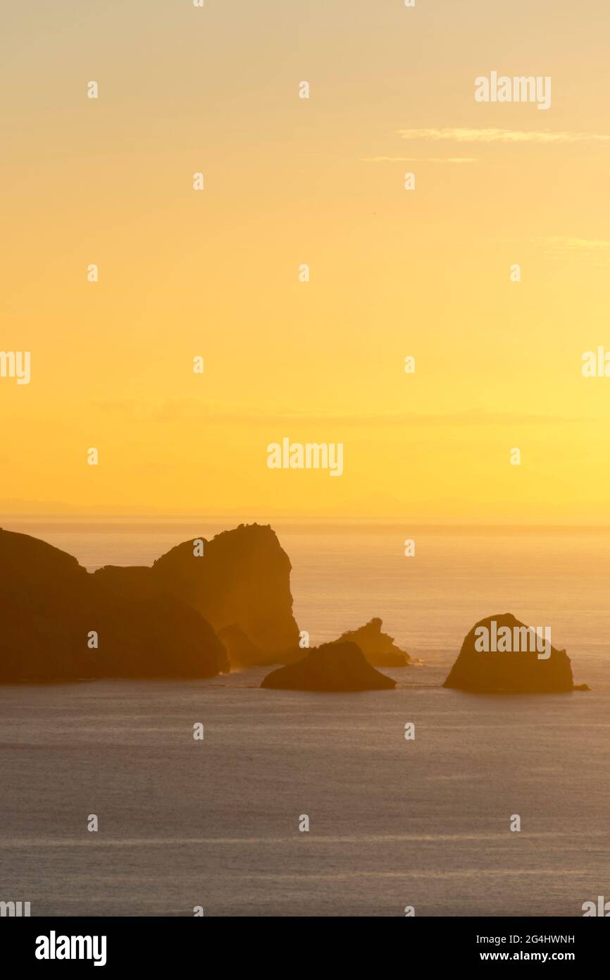 Rocky headland at sunset, near Port Fitzroy, Great Barrier Island, Hauraki Gulf, New Zealand Stock Photo