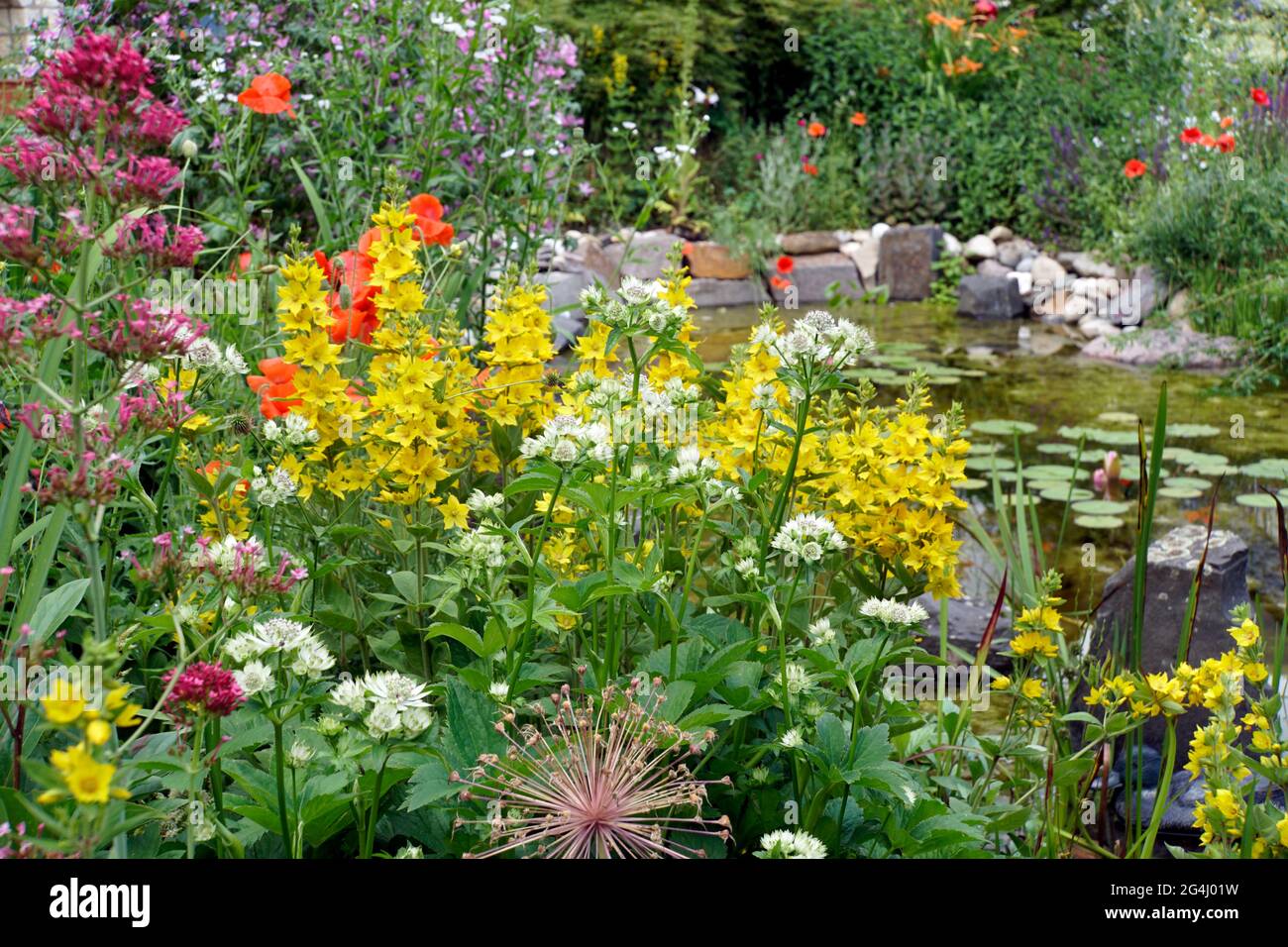bunter Blumengarten mit Gartenteich, Weilerswist, NordrheinWestfalen