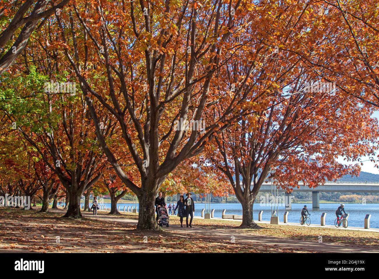 Lake Burley Griffin, Canberra Stock Photo