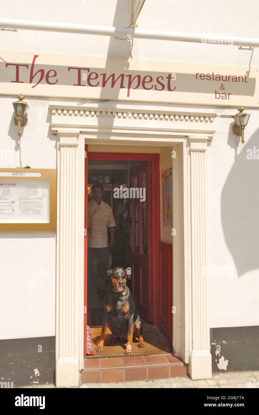 MAX LEAVES THE TEMPEST RESTAURANT IN CHRISTCHURCH, DORSET, AFTER TUCKING IN TO HIS DOGGIE MEAL, FROM THE DOG MENU. PIC MIKE WALKER, 2008 Stock Photo