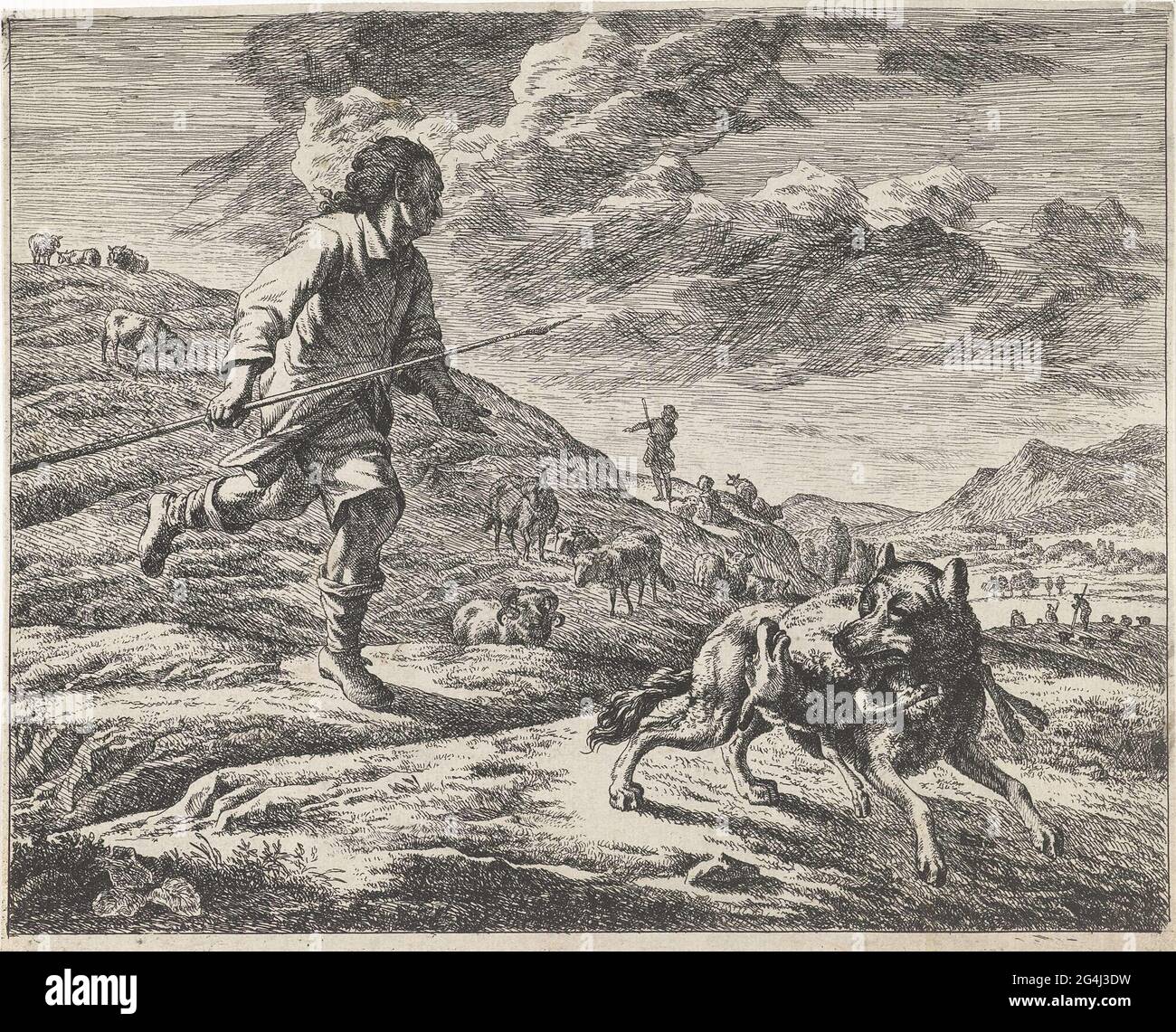 . A shepherd chases a wolf with a spear that killed a lamb and holds this in his mouth. A herd of sheep in the background. Stock Photo