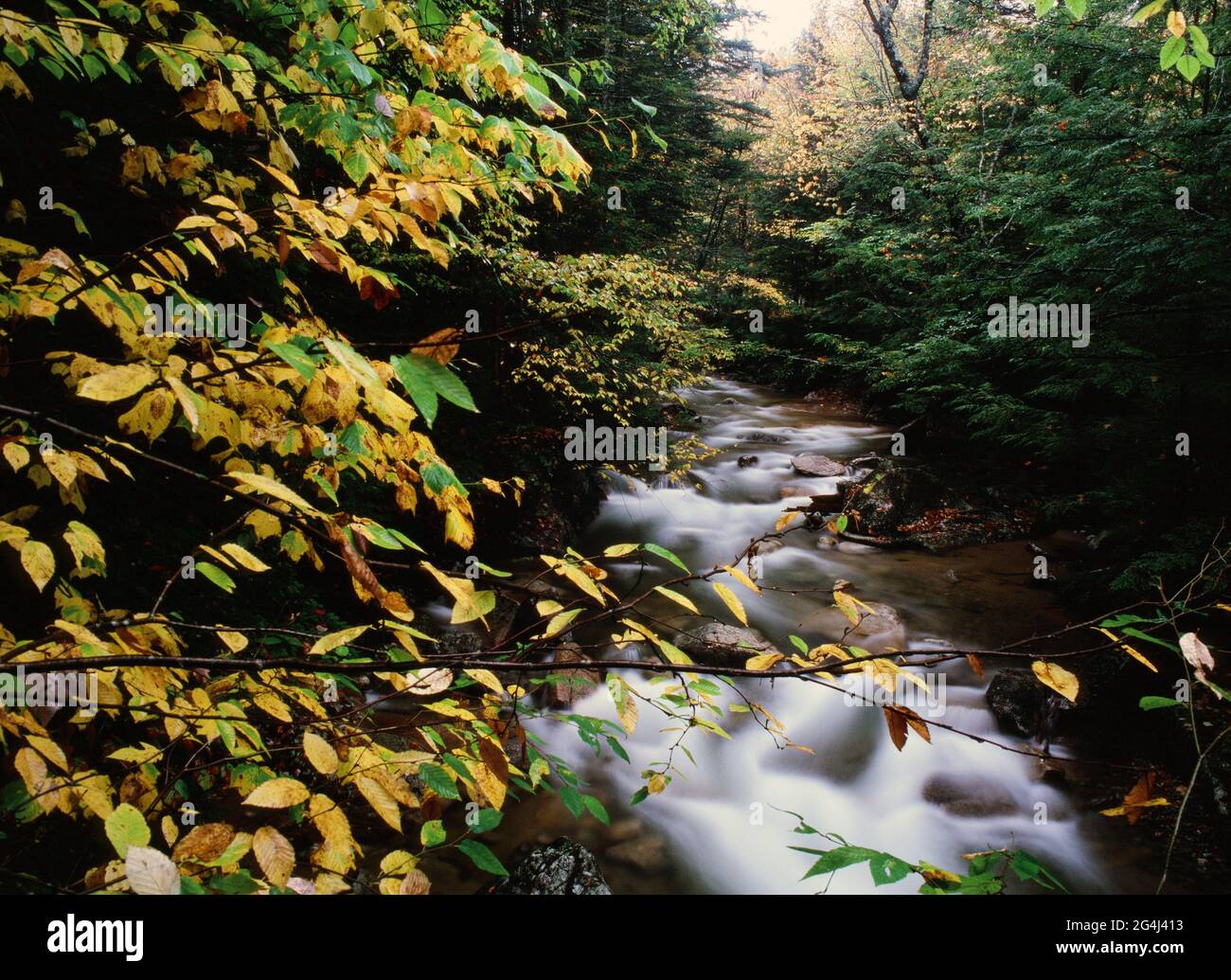 Pemigewasset River in Franconia Notch New Hampshire Stock Photo