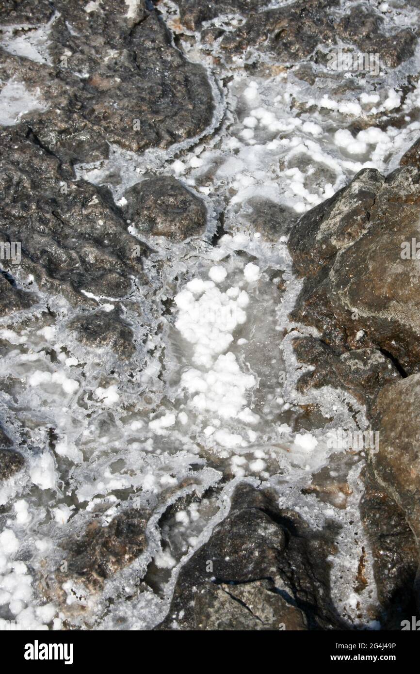 Deposits of pure sea salt on the rocks Stock Photo Alamy