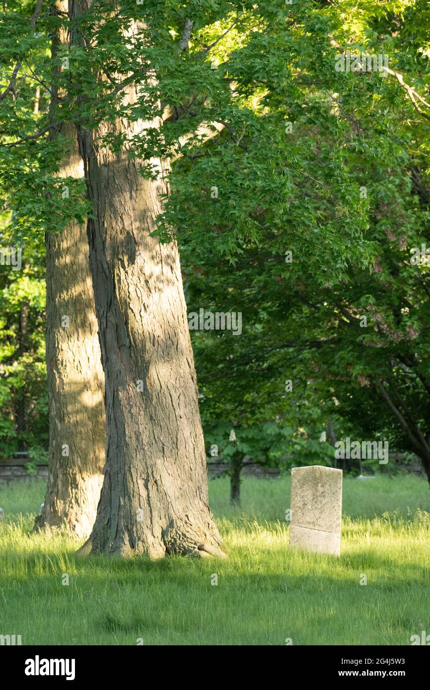 Gravestones in a peaceful cemetery being reclaimed by nature Stock Photo