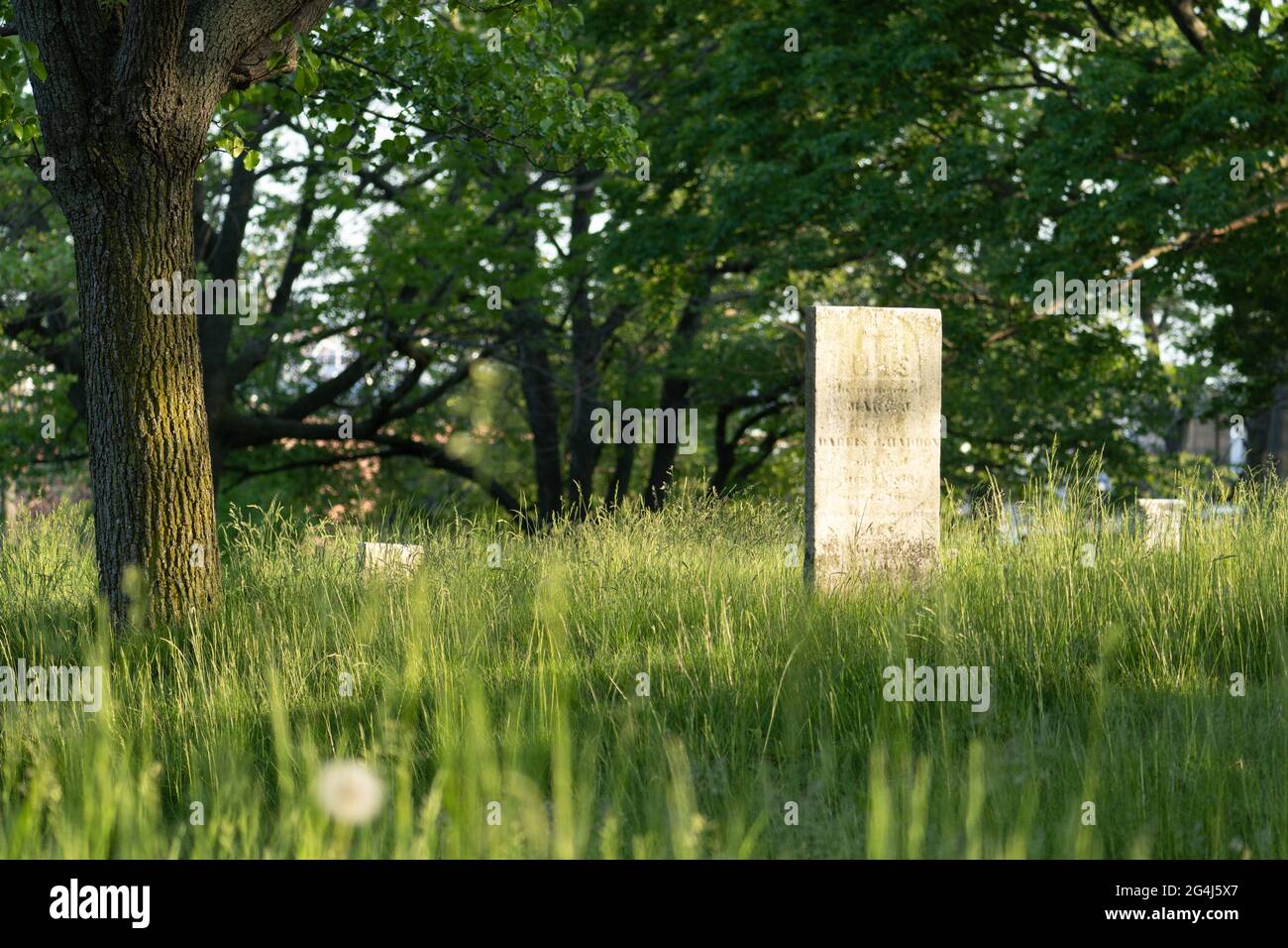 Gravestones in a peaceful cemetery being reclaimed by nature Stock Photo