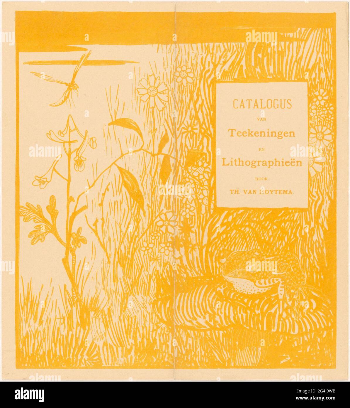 Catalog folder with path and dragonfly. Catalog folder for an