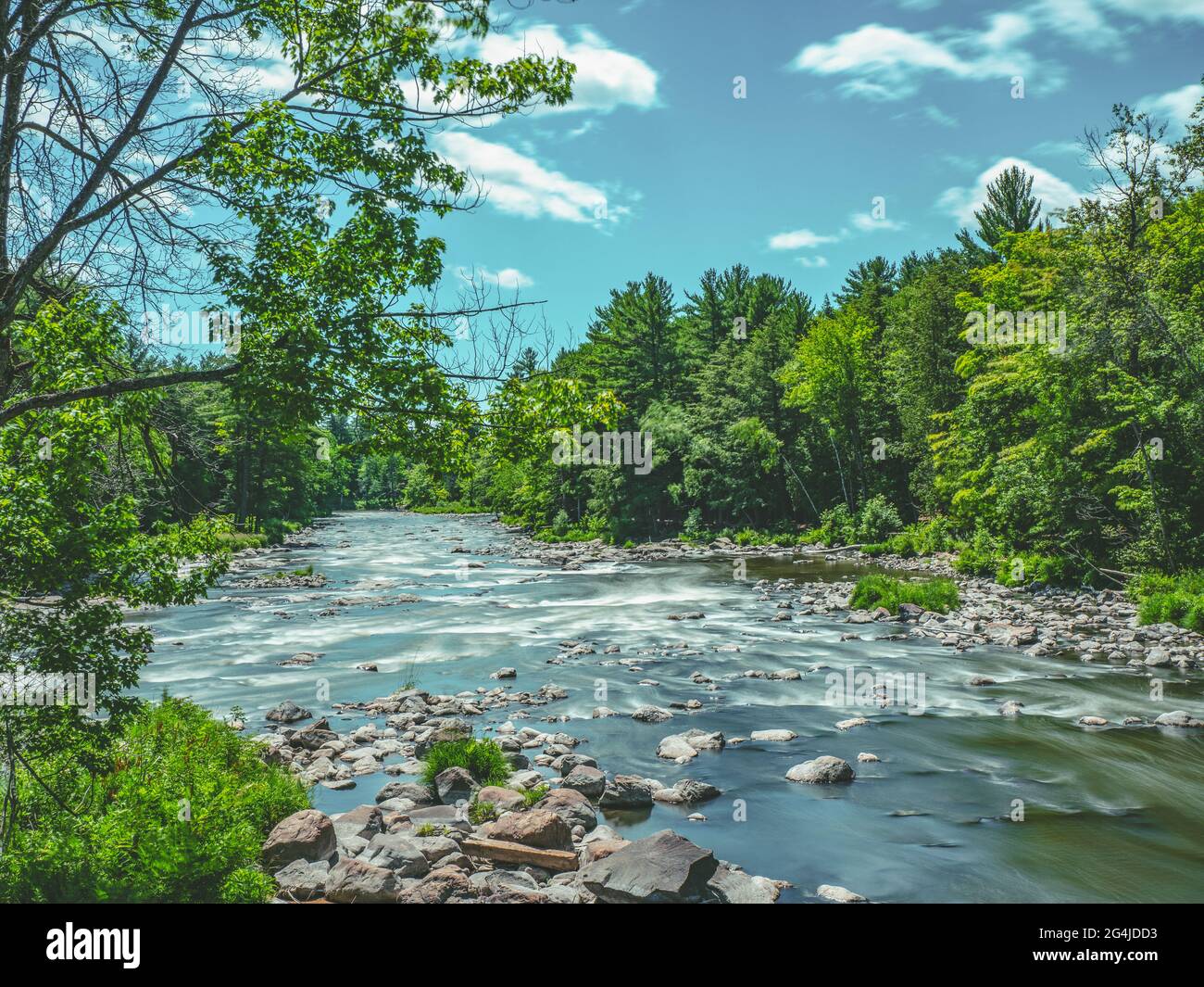 River in Canada, rapids, nature, national park Stock Photo
