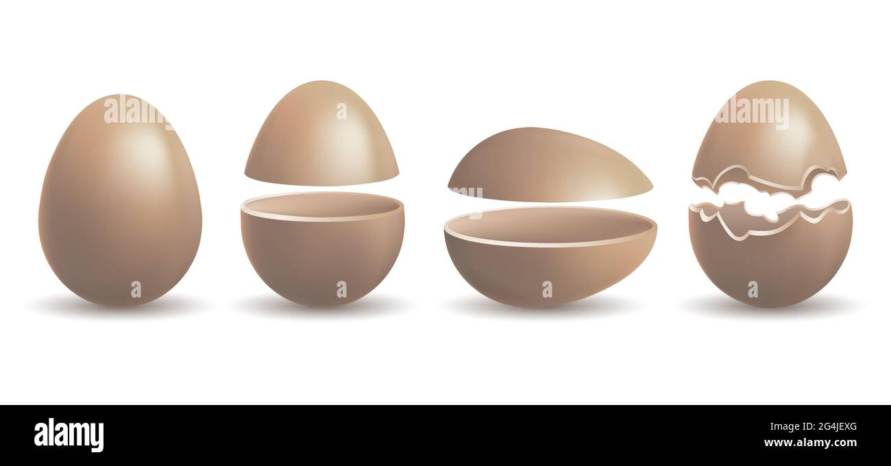 Chocolate chicken egg Stock Vector Image & Art Alamy