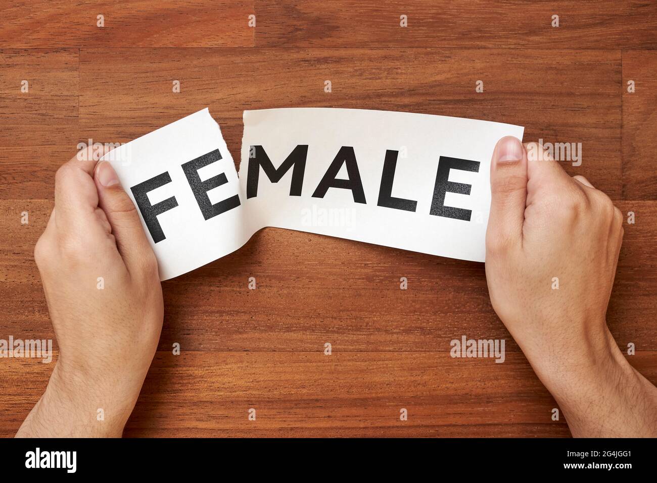 Hands tearing the word female, leaving male. Conceptual image about gender identity and transgender. Wood background. Stock Photo