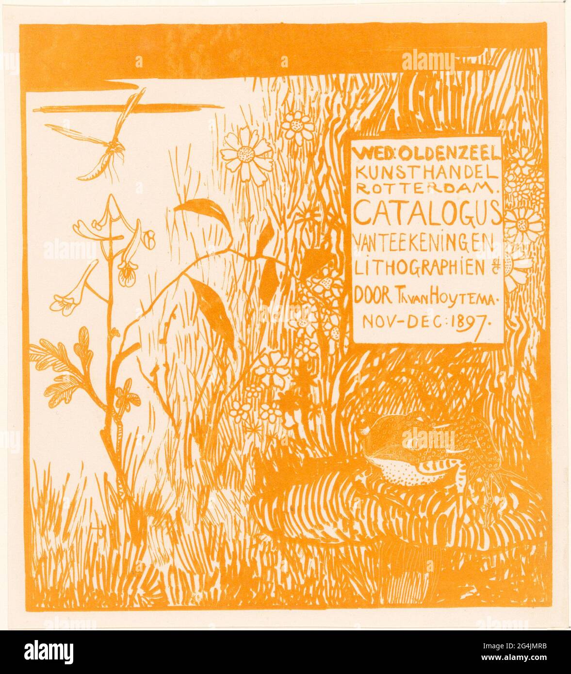 Catalog folder with path and dragonfly. Catalog folder for an