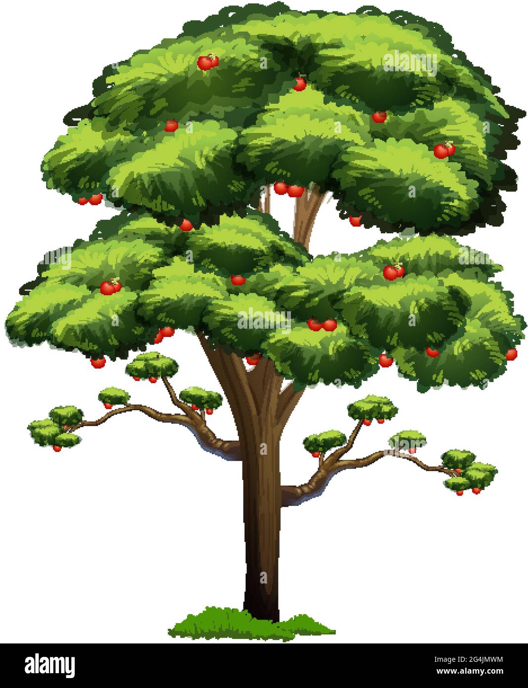 Apple tree isolated on white background illustration Stock Vector Image ...