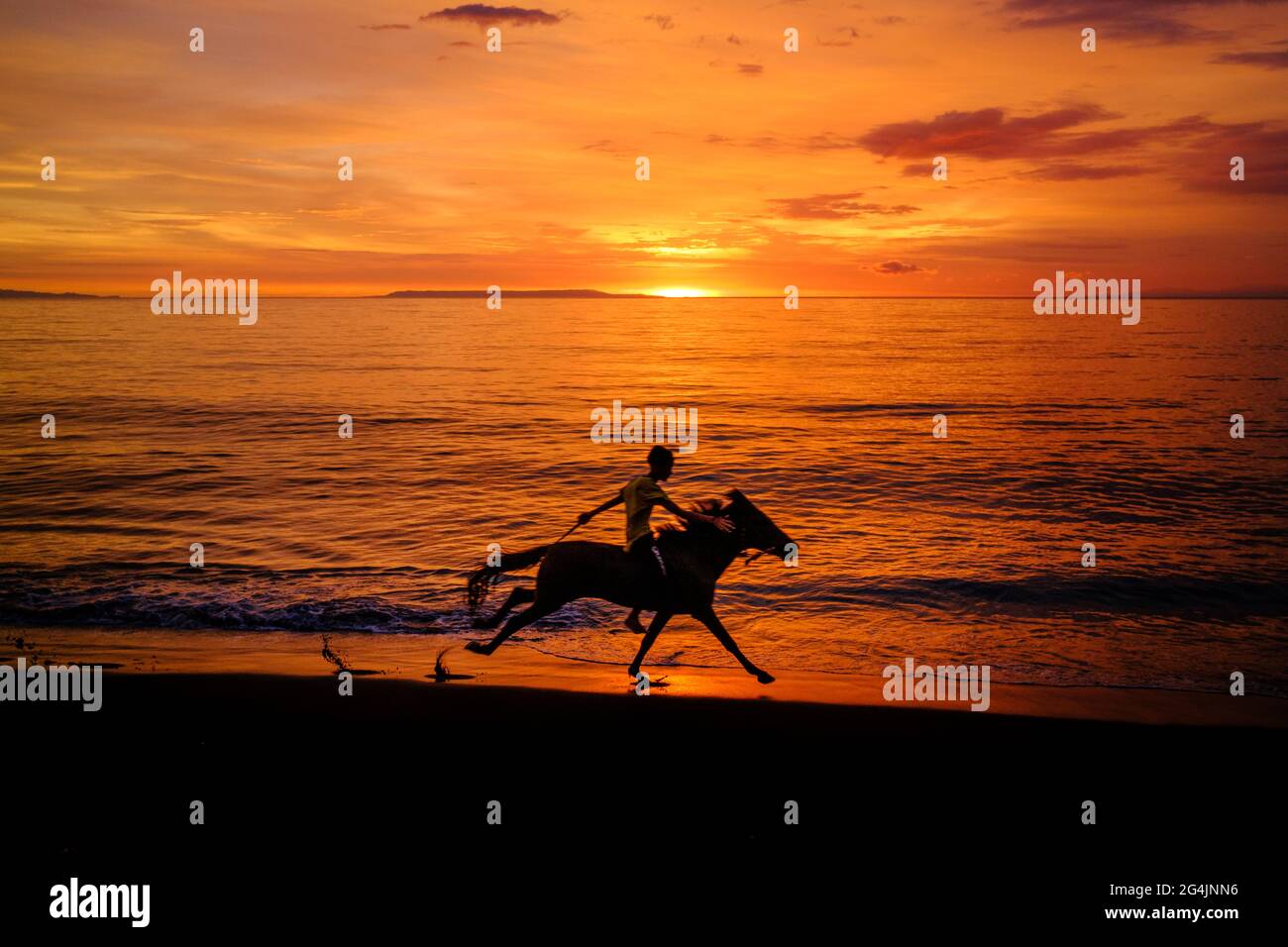 Beach Horse Racing During Sunset In Lombok, Indonesia Stock Photo