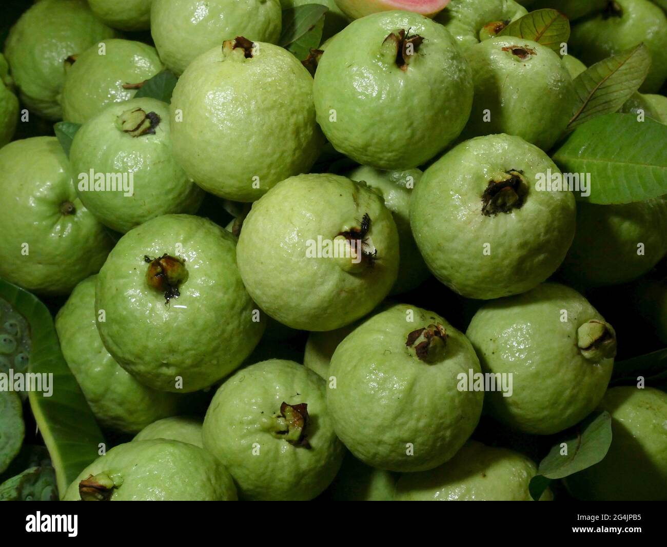 Heap guava hi-res stock photography and images - Alamy