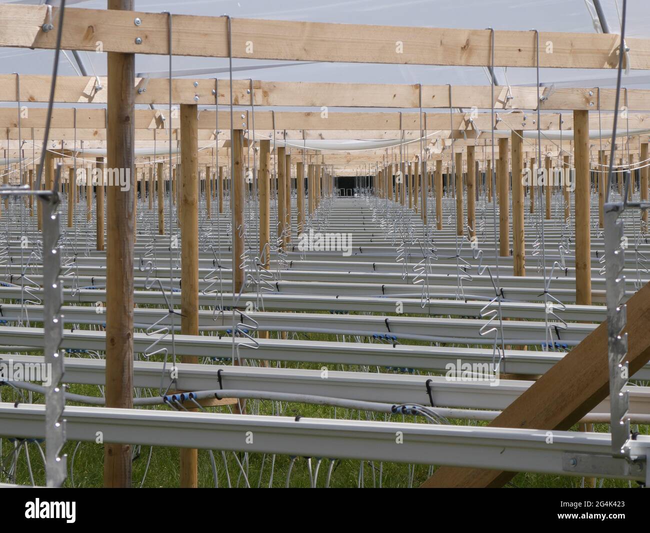 View of greenhouse in springtime Stock Photo