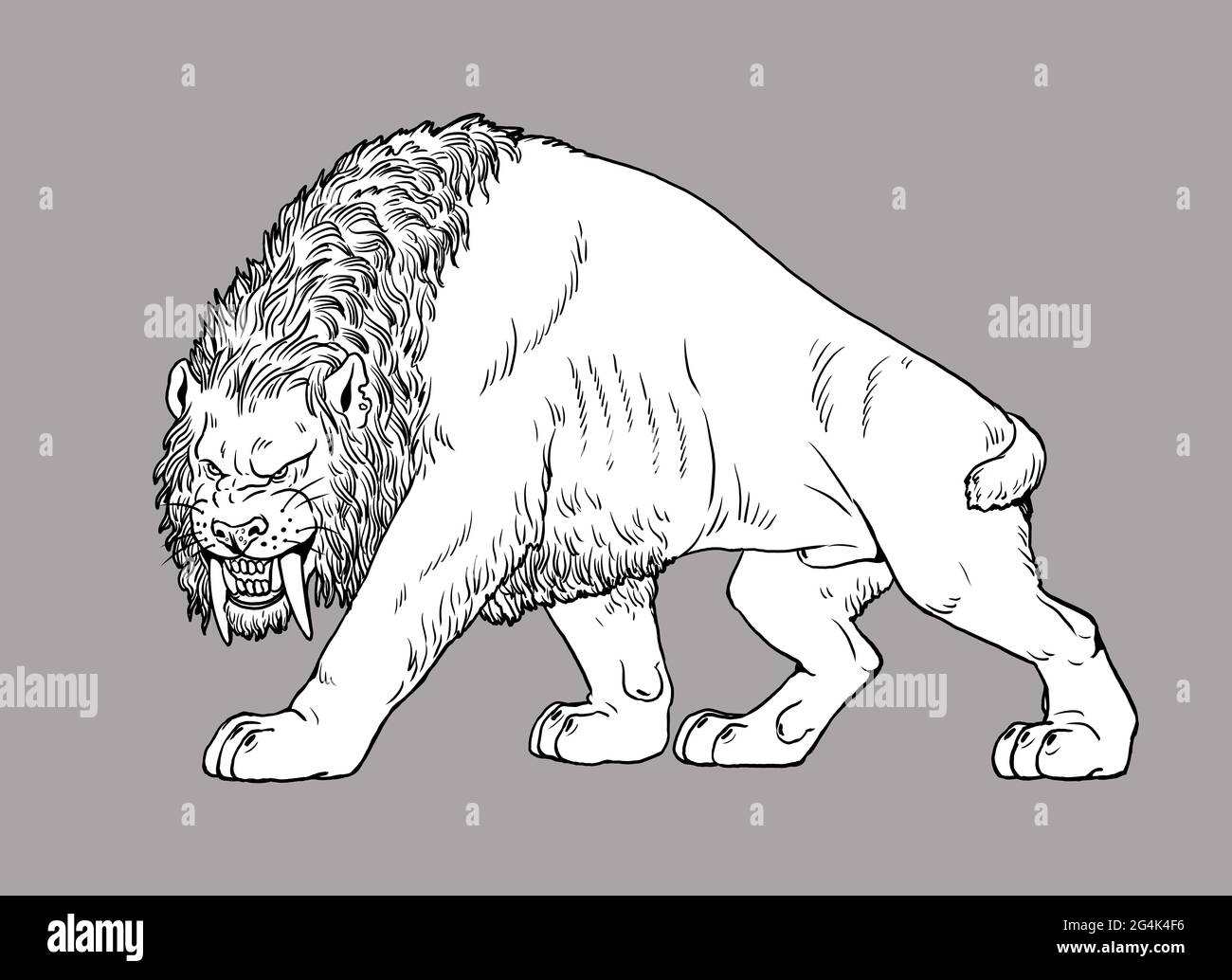 Saber tooth cat on the hunt. Animals illustration. Saber-toothed cat attack. Coloring book. Stock Photo