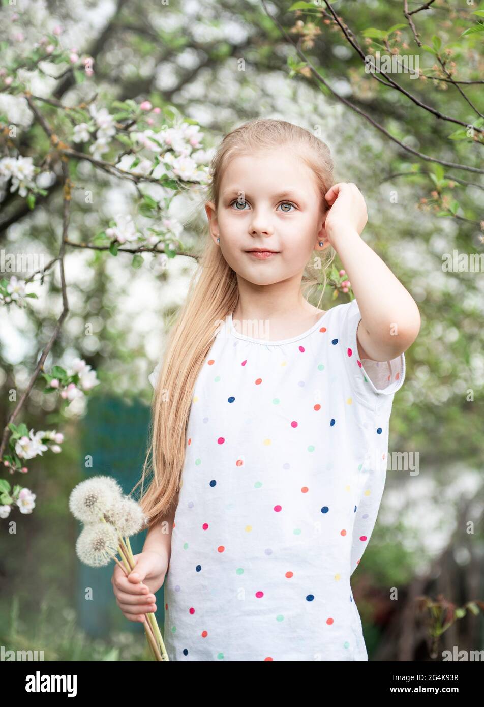 Little girl in a spring garden with white dandelions in her hands Stock ...