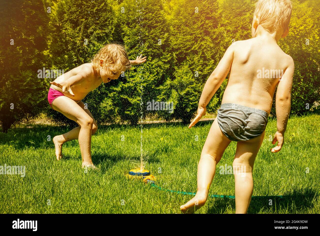 siblings playing with lawn water sprinkler in backyard on hot summer day Stock Photo