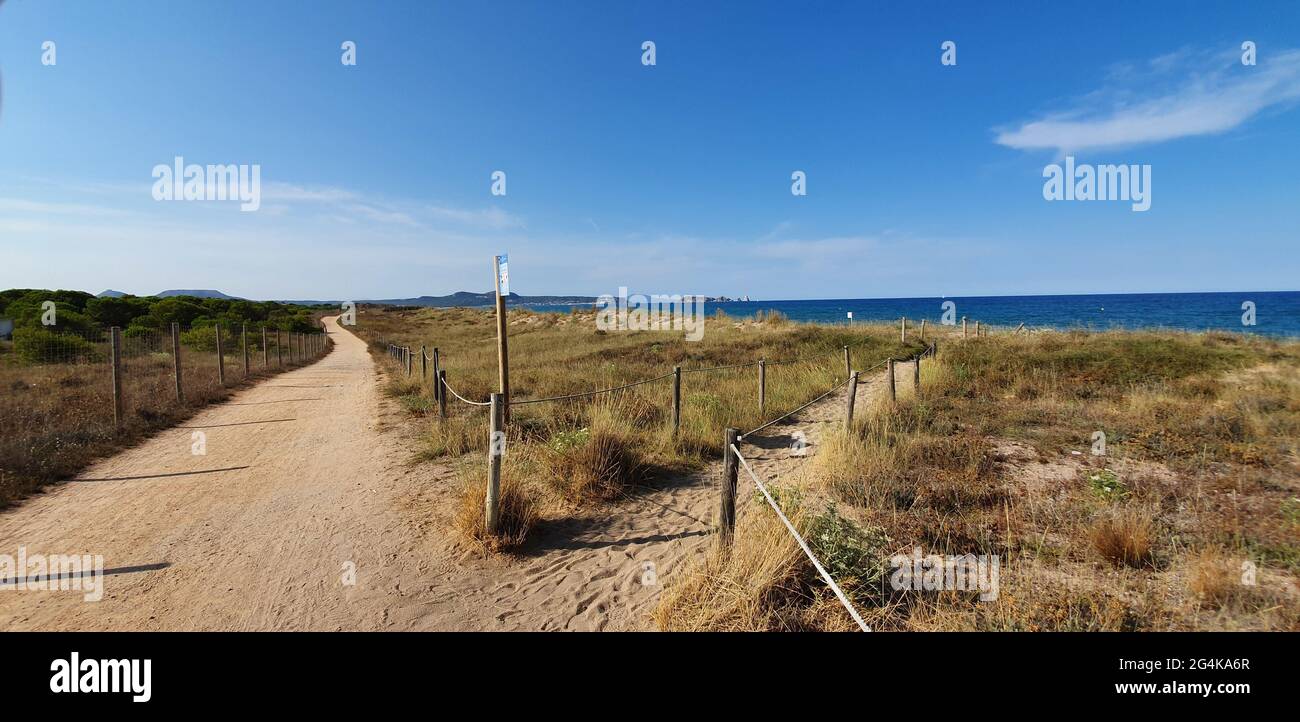 Fork in the dunes on the beach of Pals Costa Brava Spain End of July 2019 in the evening Stock Photo