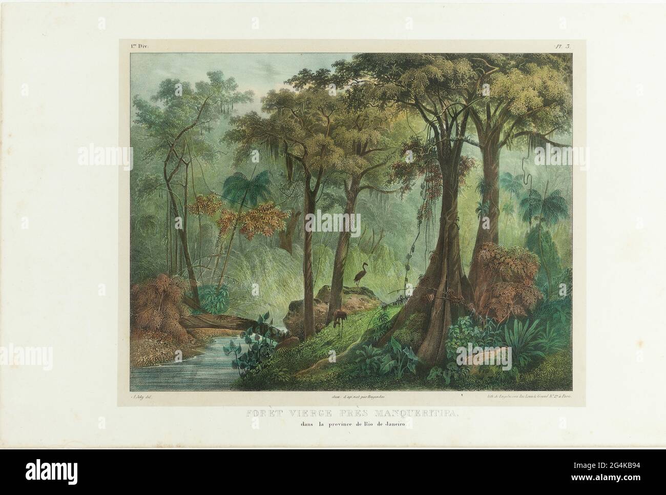 Virgin Forest Near Manqueritipa. From &quot;Malerische Reise in Brasilien&quot;, 1835. Private Collection. Stock Photo