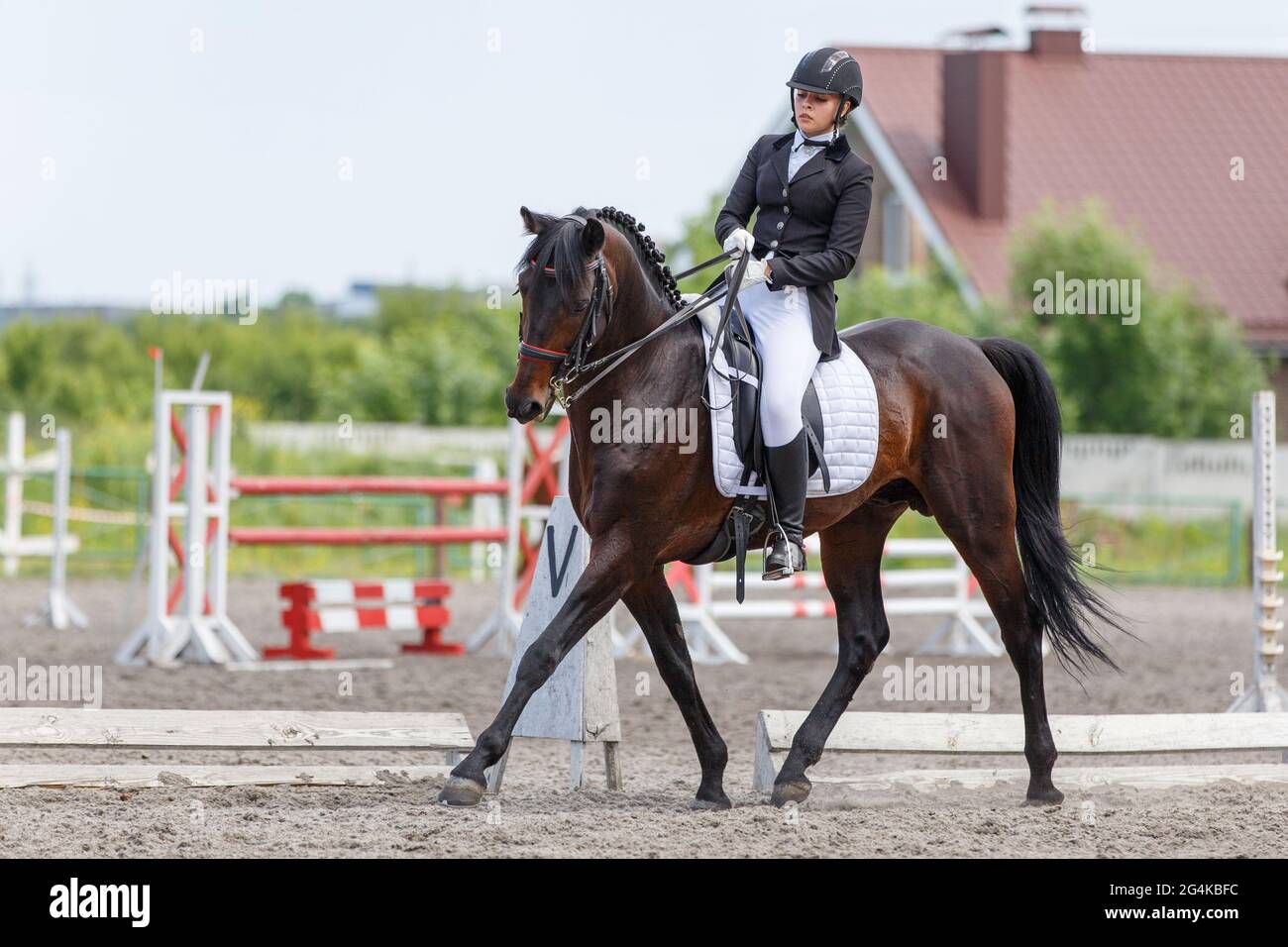 Young sportswoman riding horse on dressage test Stock Photo