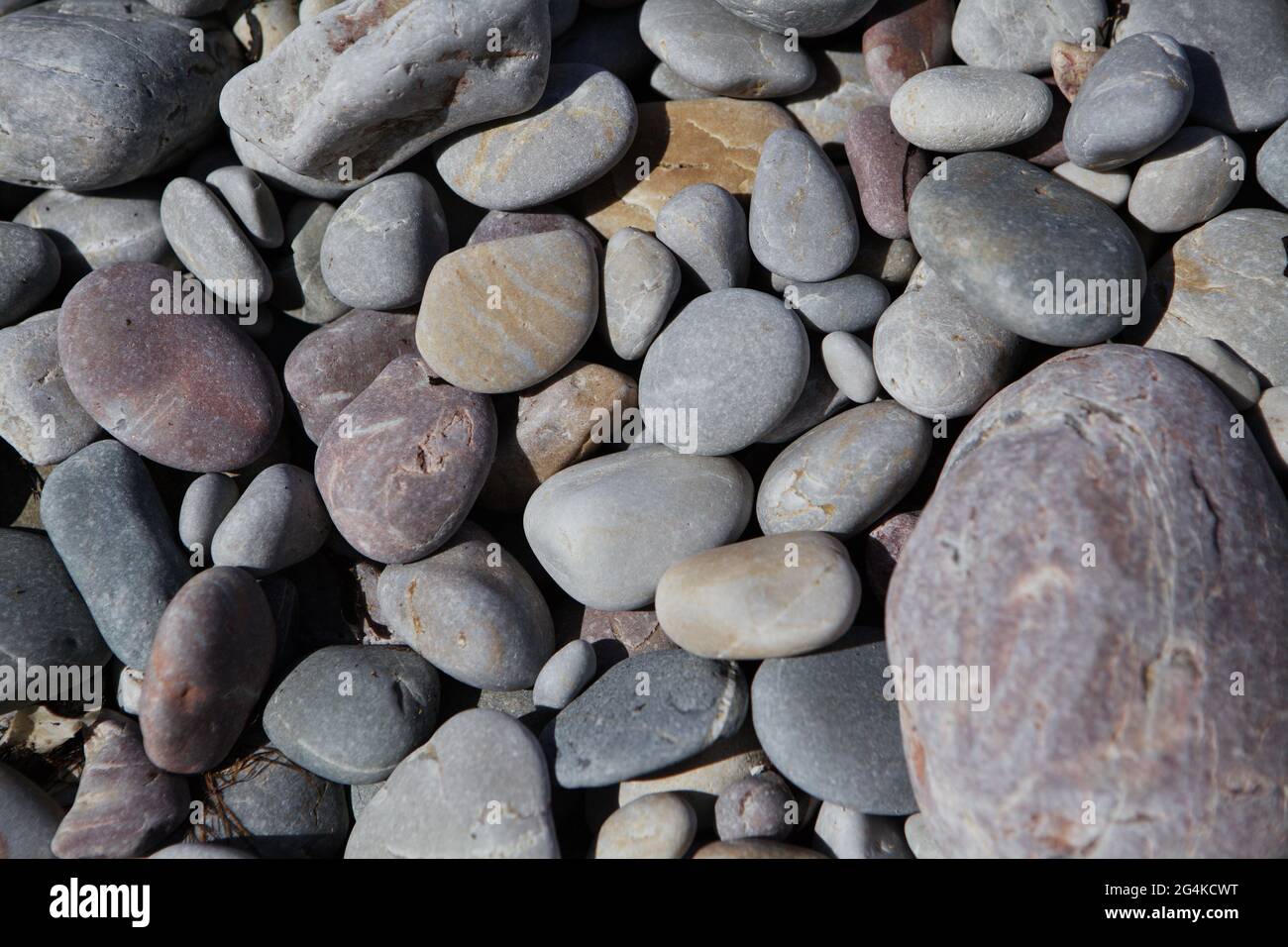 Beautiful pebbles on the shore Stock Photo