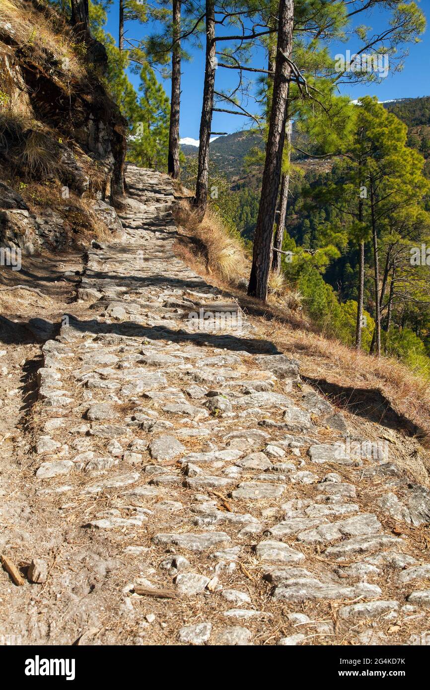 Aboriginal walking path in the Indian Himalayas, Uttarakhand, india, Himalayan stone patway Stock Photo