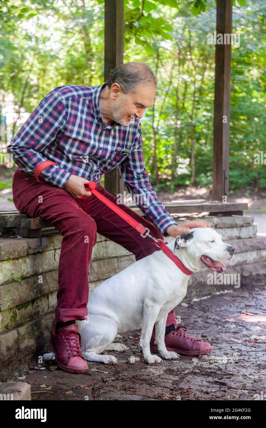 Casual elderly jewish man in his seventies sitting on a bench in the park is petting a white pitbull terrier in spring or summer time. Stock Photo