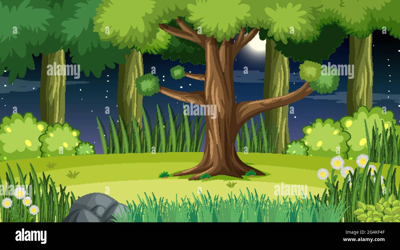Forest landscape scene at night with many trees illustration Stock ...