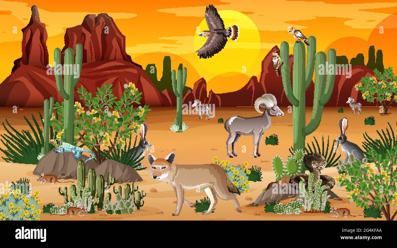 Desert forest landscape at sunset time scene with wild animals ...