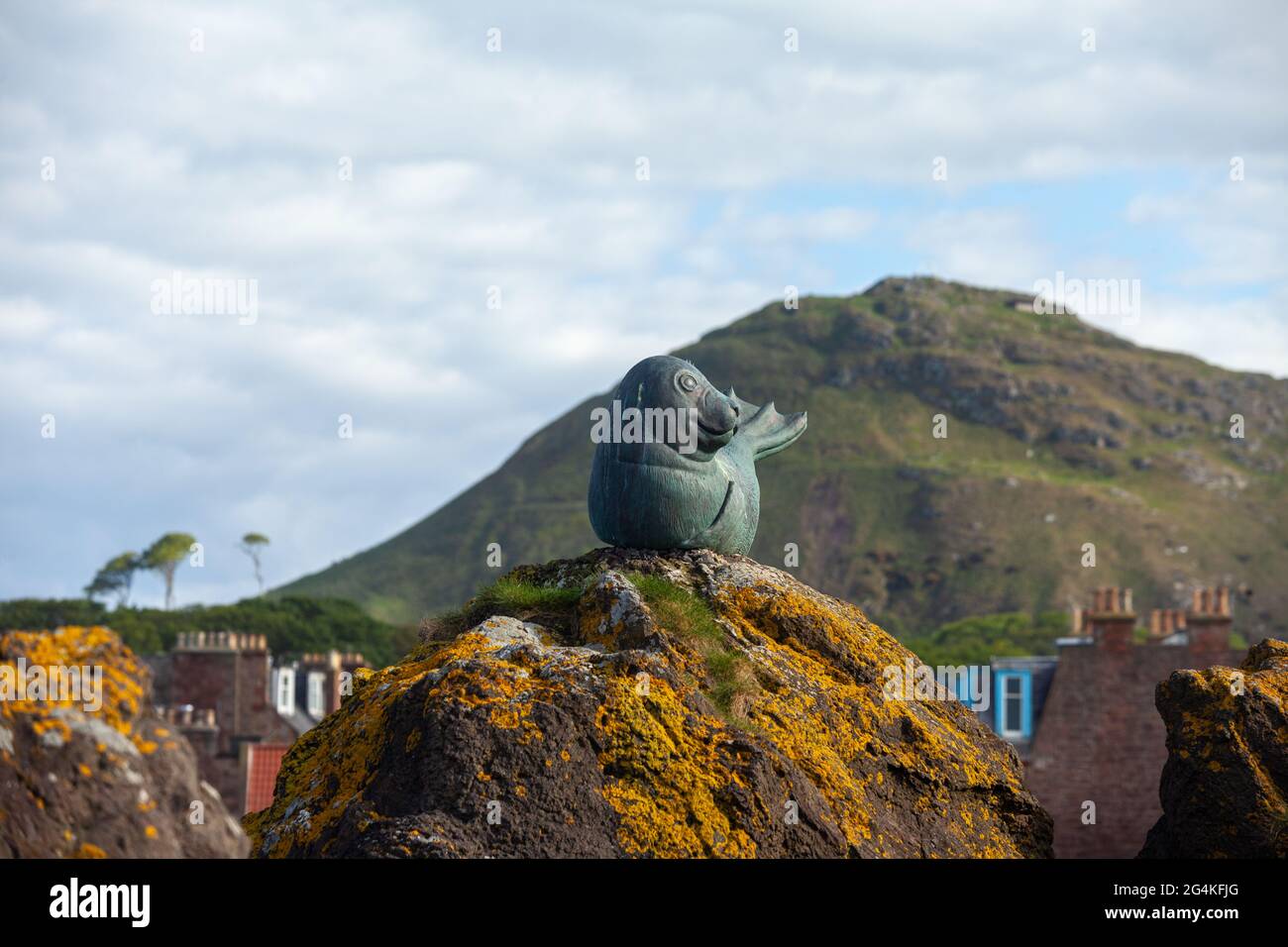 Statue of seal outside the Sea Bird Centre, North Berwick, East Lothian Scotland Stock Photo