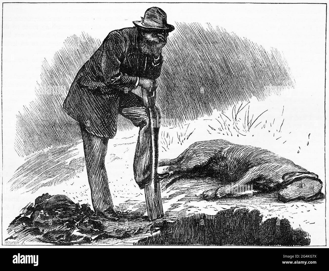 Engraving of an elderly man burying his dog Stock Photo