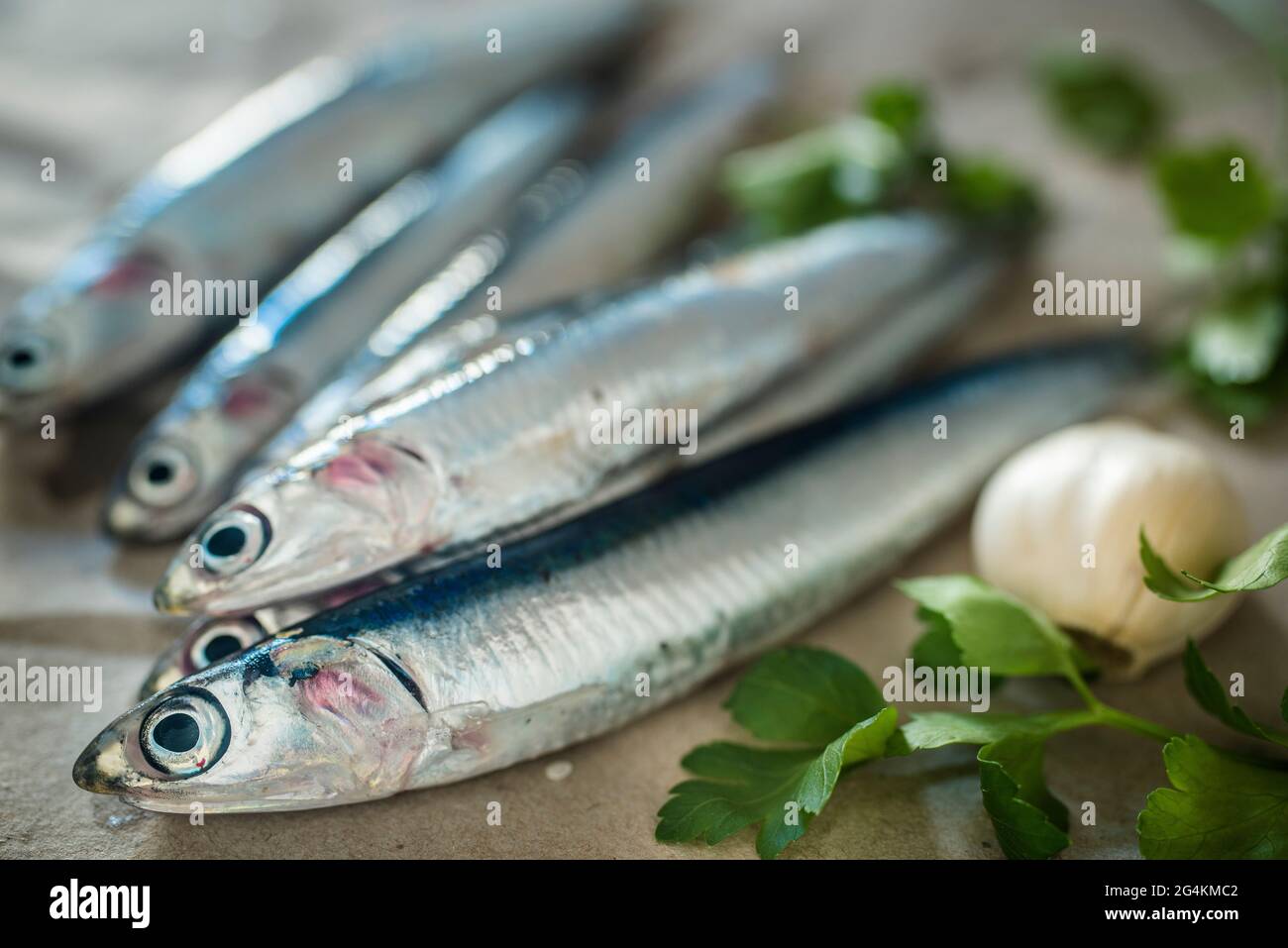 Fresh anchovies, Sicily, Italy, Europe Stock Photo Alamy