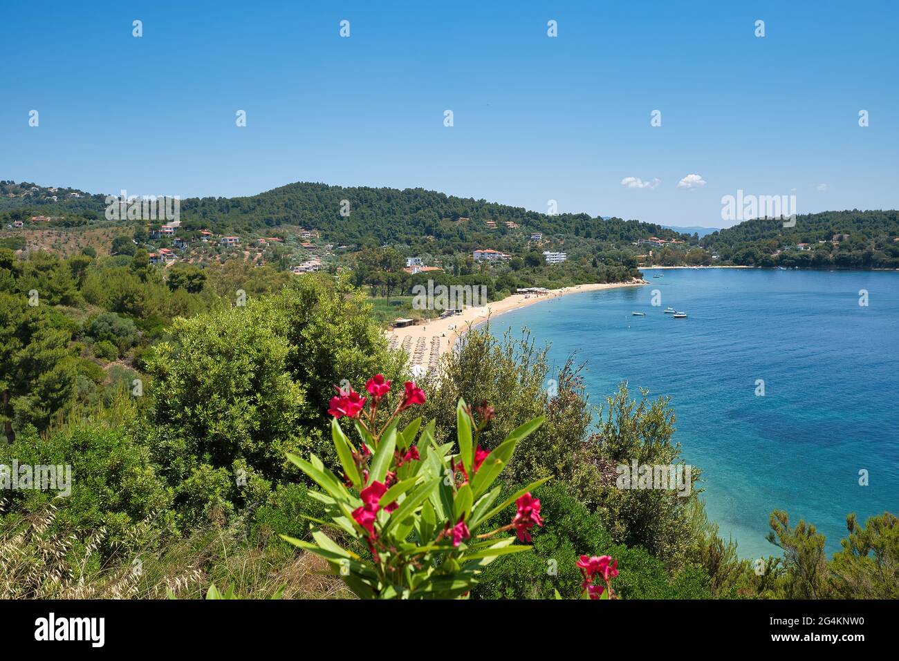 Skiathos Island, Greece, the beach of Agia Paraskevi (Platanias) Stock Photo