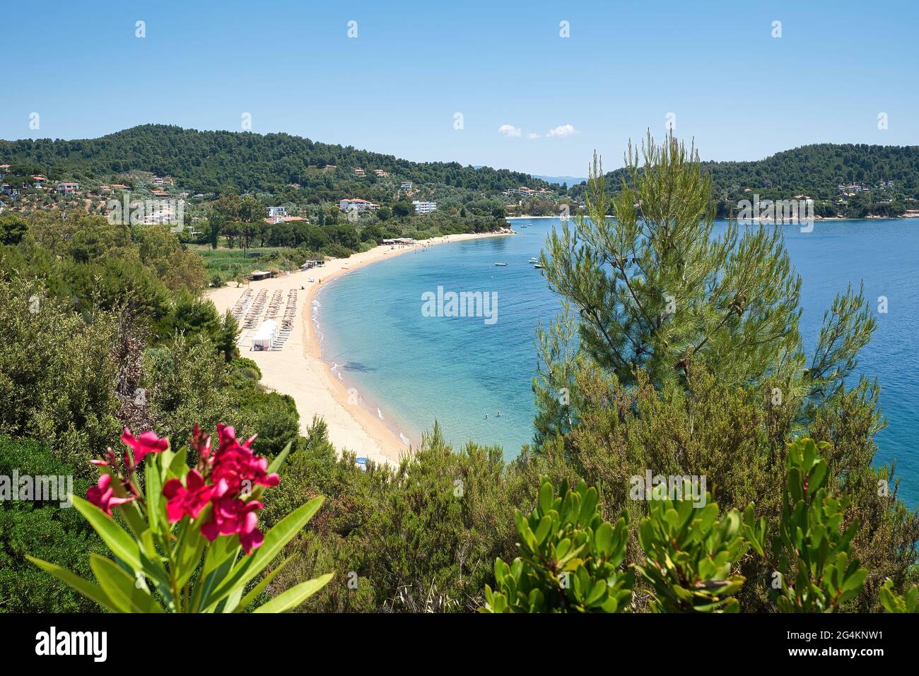 Skiathos Island, Greece, the beach of Agia Paraskevi (Platanias) Stock Photo