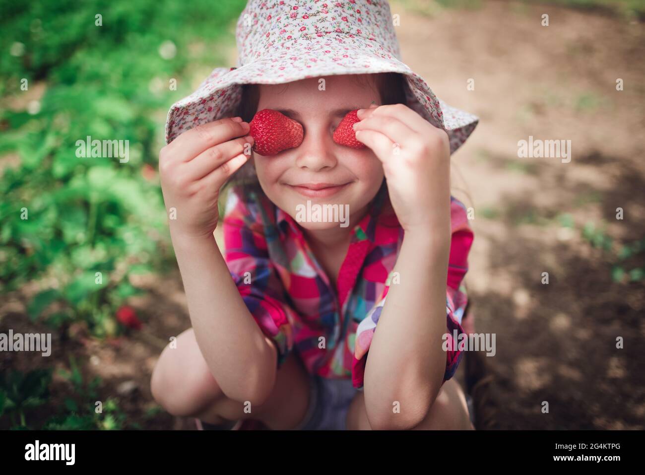 Little girl picking strawberry on a farm field. Strawberry in a kid