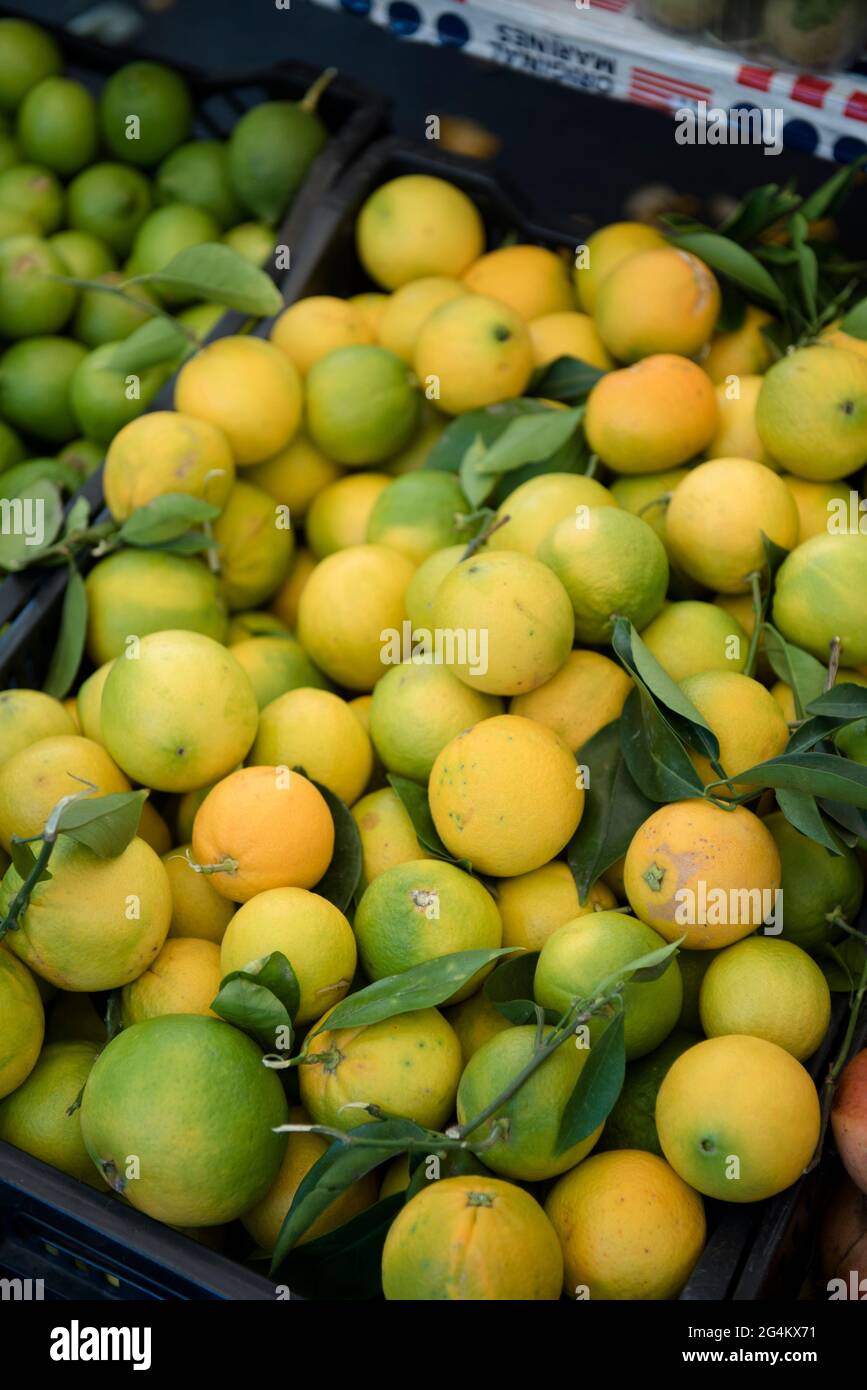 Typical market called Fera 'o Luni, Catania, Sicily, Italy, Europe Stock Photo Alamy Typical market called Fera 'o Luni, Catania, Sicily, Italy, Europe Stock Photo Alamy