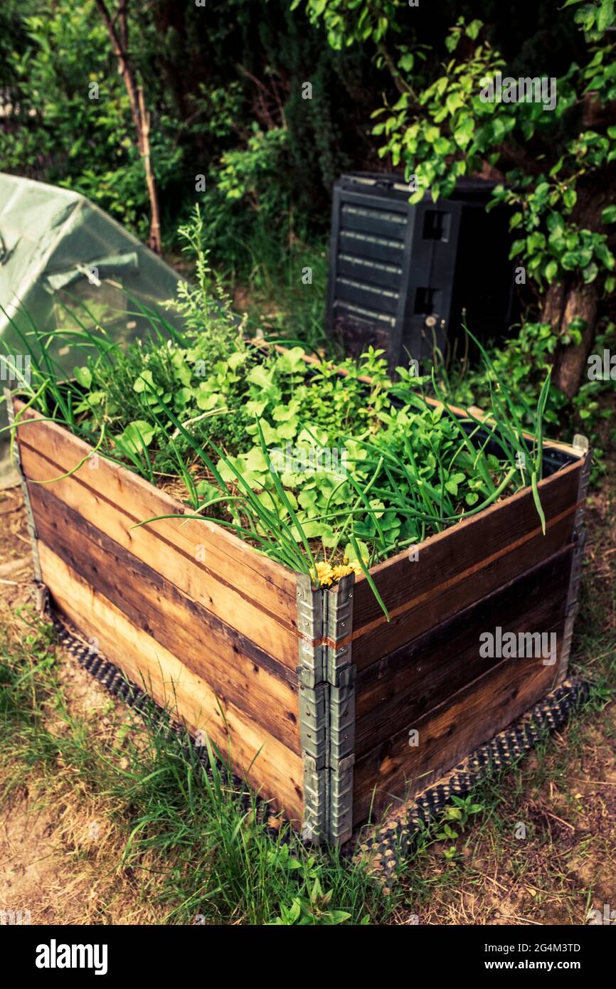 pallet collar self made raised beds in parmacultural garden Stock Photo Alamy