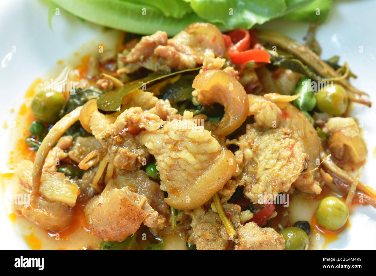 Stir Fried Spicy Wild Boar And Finger Root With Red Curry On Plate Stock Photo Alamy