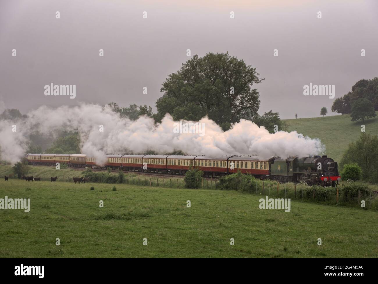 Royal Scot out of the mist on the 'English Riviera Express' Stock Photo