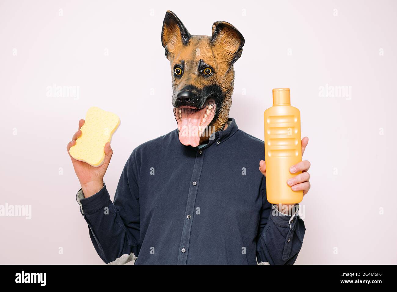 person with dog shows a and a bottle of bath gel white background, concept of hygiene and pet washing service Stock - Alamy