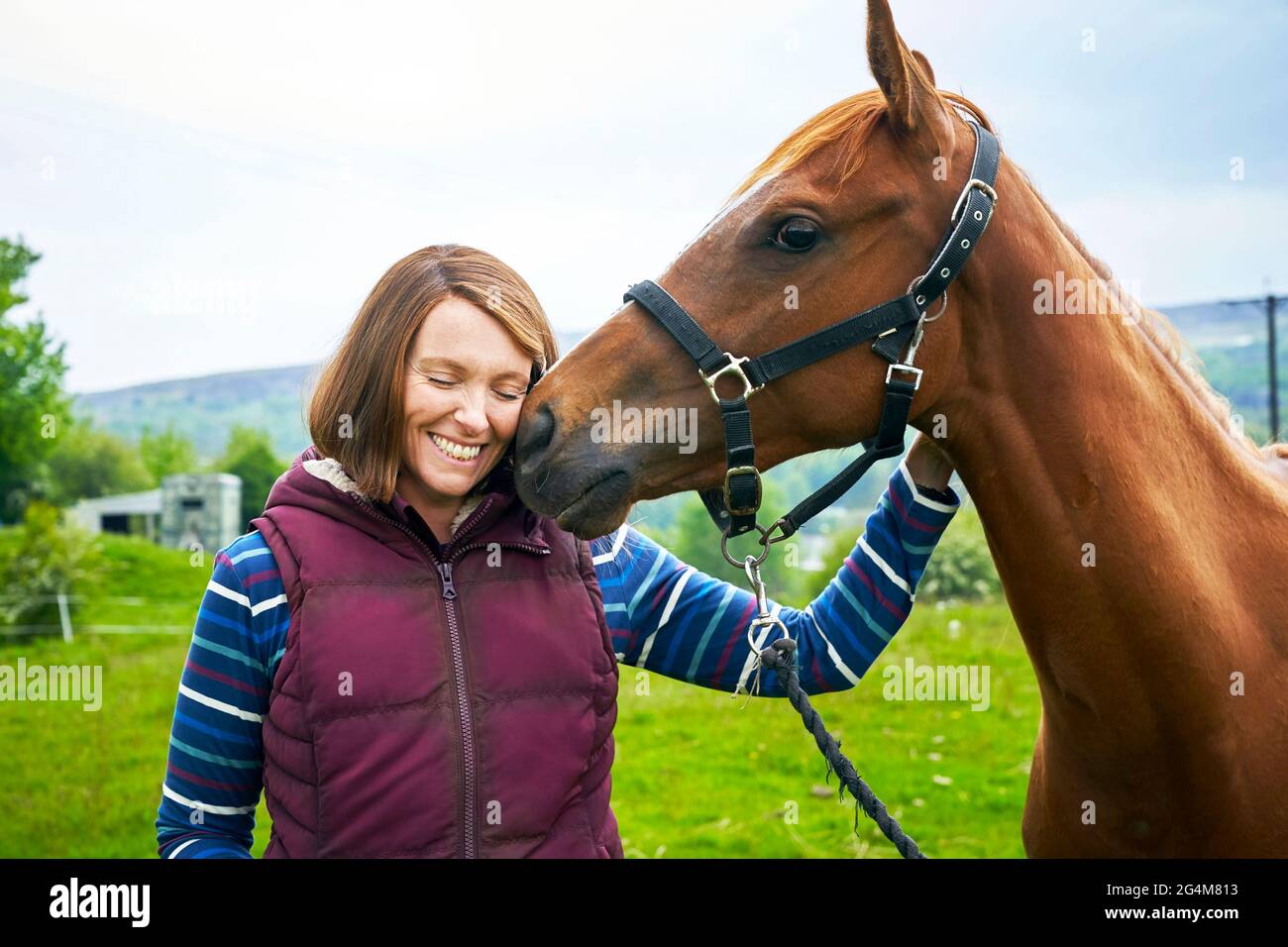 Dream Horse (2020) directed by Euros Lyn and starring Toni Collette as Jan Vokes, a  small-town Welsh bartender who breeds and trains a race horse that wins the Welsh Grand National Steeplechase horse race. Stock Photo