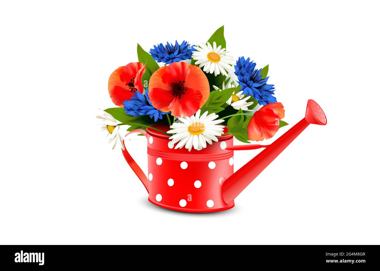 Cornflower vase Stock Vector Images - Alamy