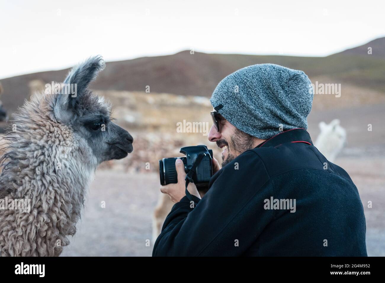 A young man with his camera looks face to face with a llama while traveling in the in the Andean mountains, in Bolivia. Stock Photo