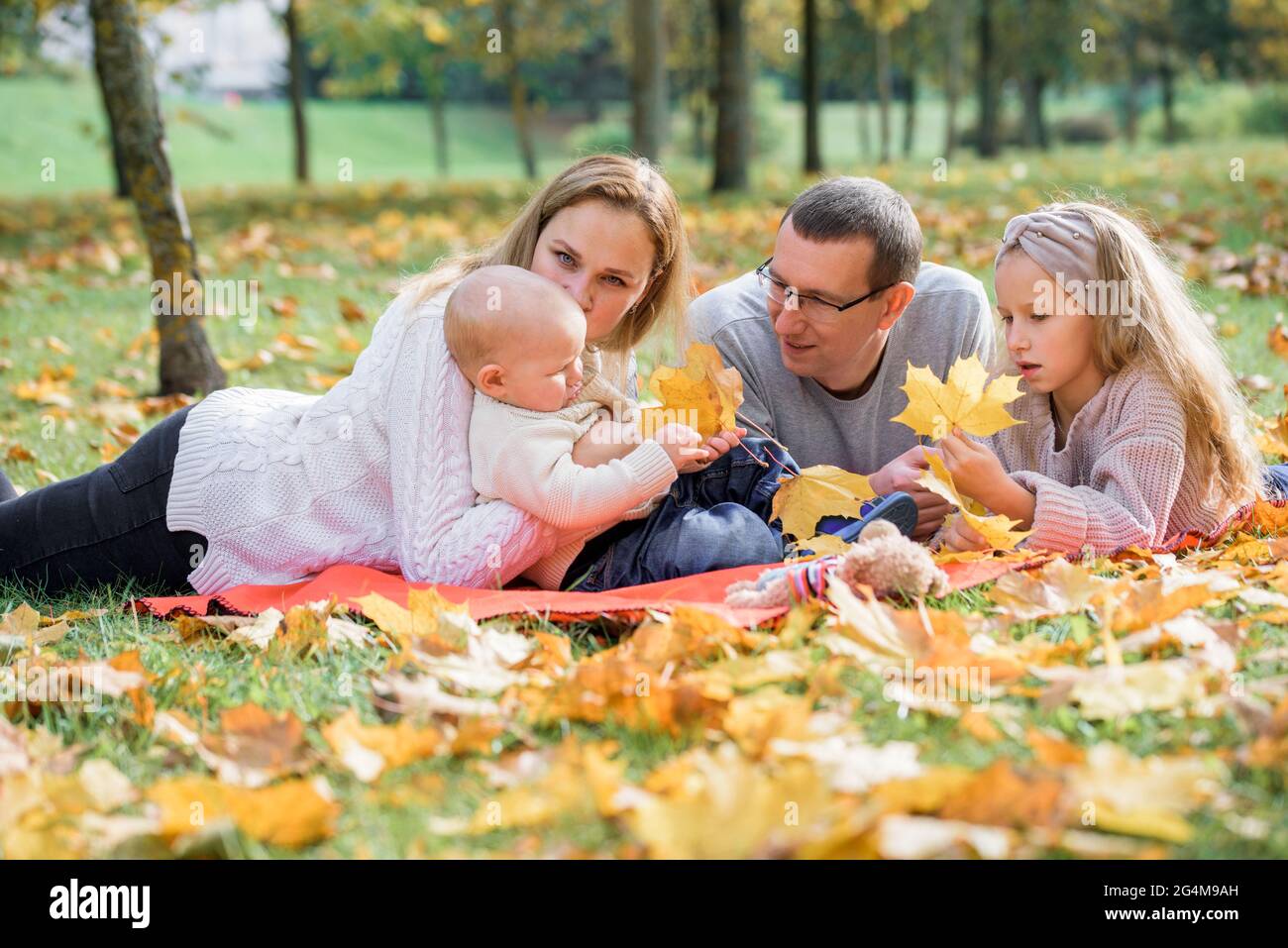 Family picnic basket park boy hi-res stock photography and images - Alamy