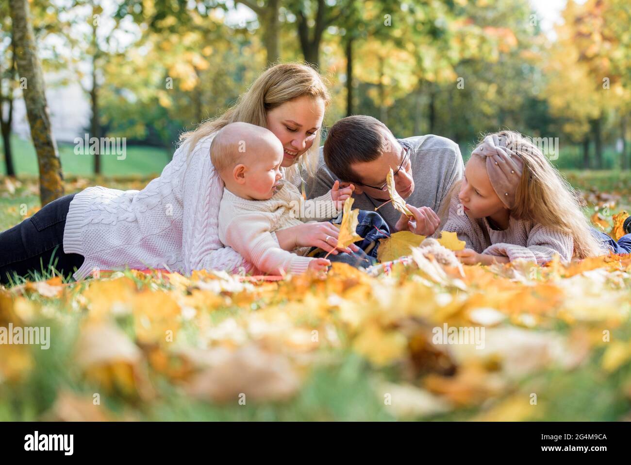 Family picnic basket park boy hi-res stock photography and images - Alamy