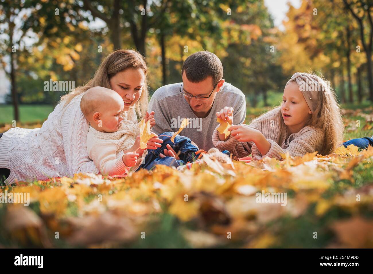 Family picnic basket park boy hi-res stock photography and images - Alamy