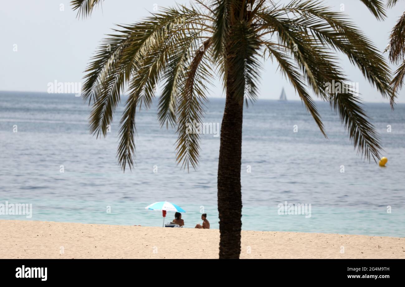 Sunbathers in Magaluf beach, Mallorca, Spain, as the Balearic islands of Ibiza, Majorca and Menorca are on the cusp of being added to UK green list. Stock Photo
